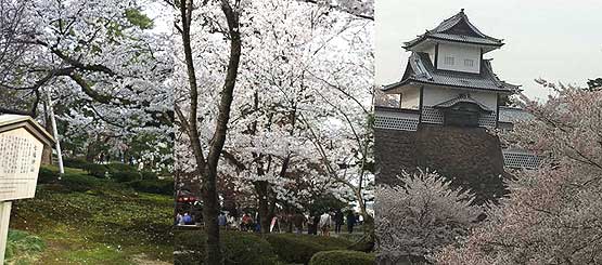 兼六園の風景写真