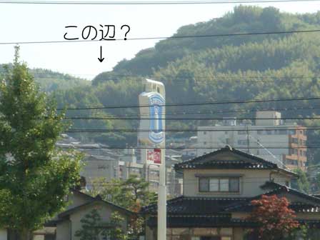 店内からの景色